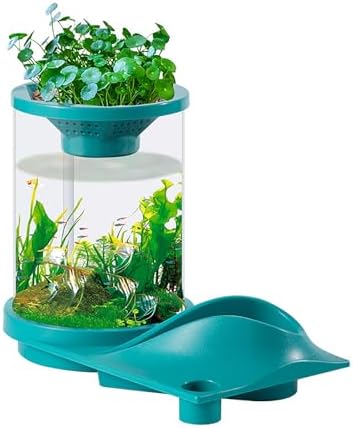 Akvaria a rybářské mísy |  Akvarium pro Betta ryby, 0,5 galonové malé akvárium, vnitřní hydroponický systém pro pěstování, samoudržitelné akvaponické zařízení. Akvaria a rybářské mísy Akvaria a rybářské mísy